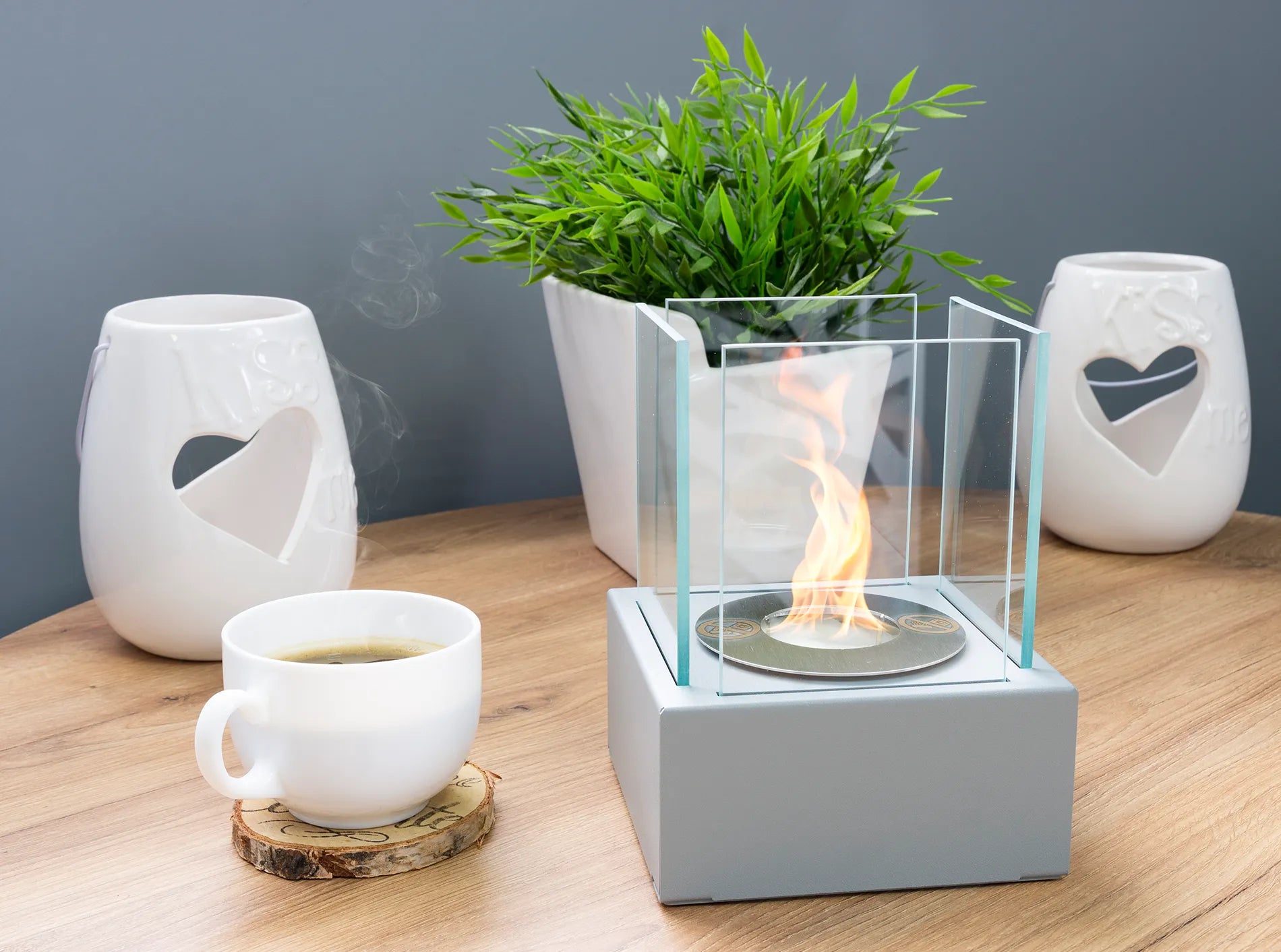 Lille firkantet bio pejs med høj flamme bag 4 glas plader. Ser kanon ud på bordet med grøn plante bag ved.