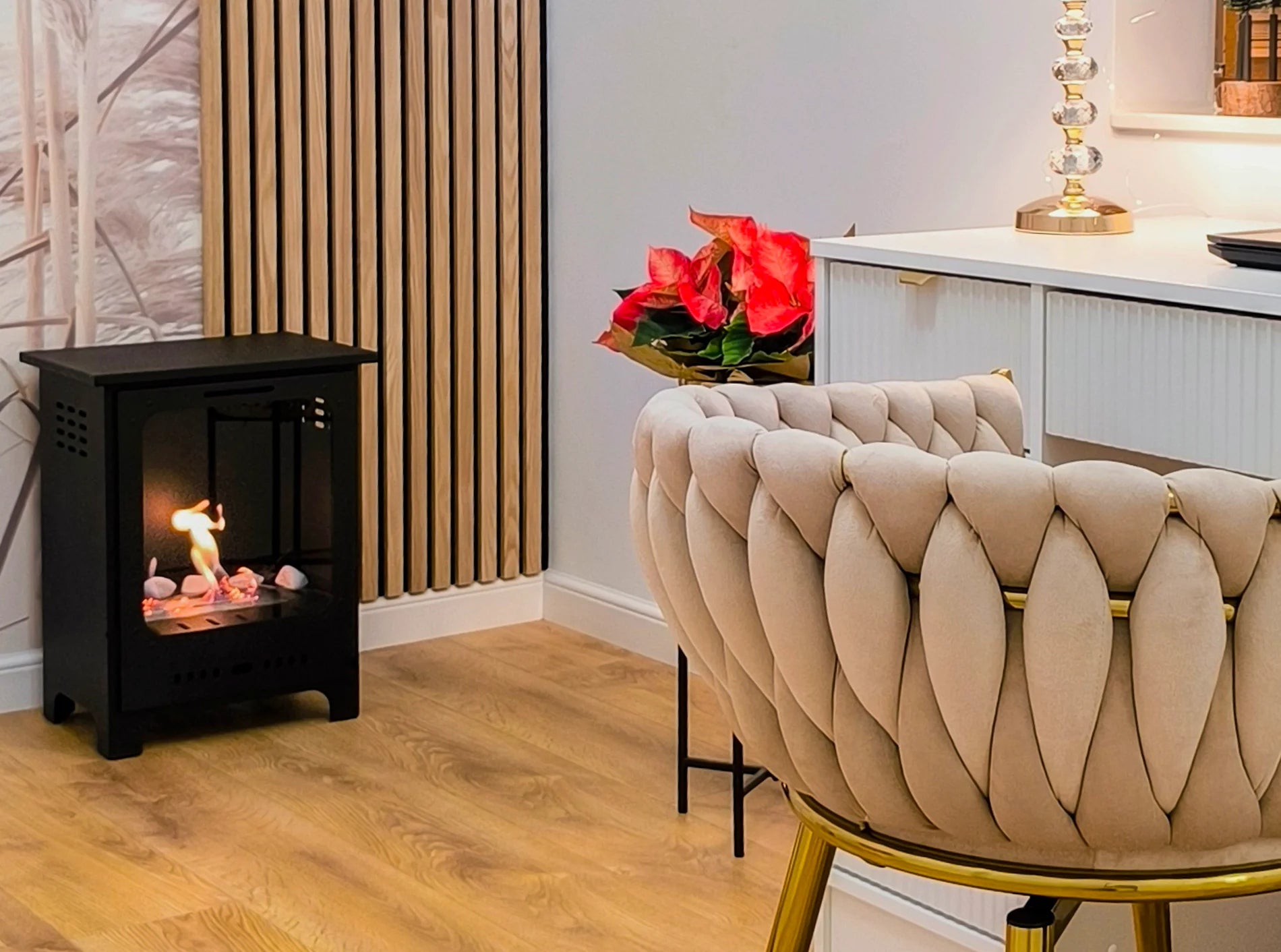 Koza, brændeovnslignende biopejs