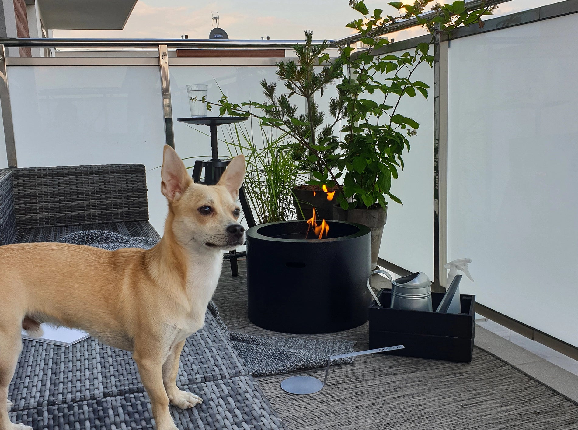 fritstående sort have biopejs med flotte flammer på terrasse